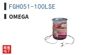 FGH051-100LSE