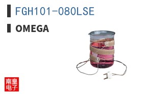 FGH101-080LSE
