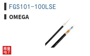 FGS101-100LSE