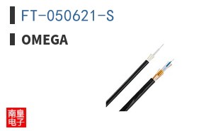 FT-050621-S