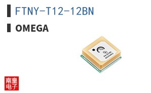 FTNY-T12-12BN