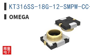 KT316SS-18G-12-SMPW-CC-M