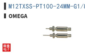 M12TXSS-PT100-24MM-G1/8