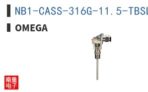 NB1-CASS-316G-11.5-TBSL