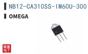NB12-CA310SS-IM60U-300