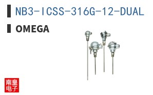NB3-ICSS-316G-12-DUAL