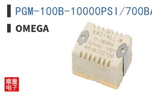 PGM-100B-10000PSI/700BAR