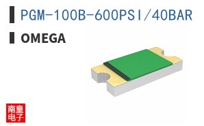 PGM-100B-600PSI/40BAR