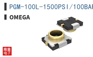PGM-100L-1500PSI/100BAR