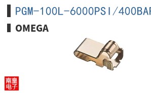 PGM-100L-6000PSI/400BAR