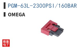 PGM-63L-2300PSI/160BAR