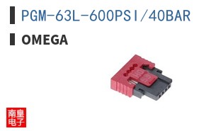 PGM-63L-600PSI/40BAR