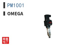 PM1001