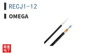 RECJ1-12