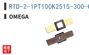 RTD-2-1PT100K2515-300-G
