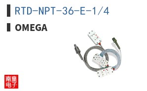 RTD-NPT-36-E-1/4