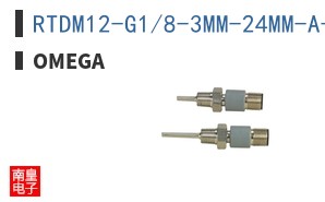 RTDM12-G1/8-3MM-24MM-A-PT1000