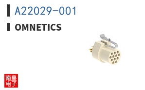 A22029-001