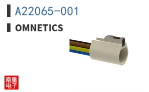 A22065-001