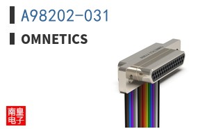 A98202-031