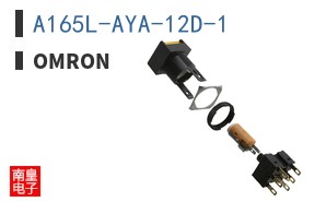 A165L-AYA-12D-1
