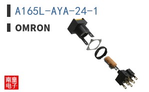 A165L-AYA-24-1