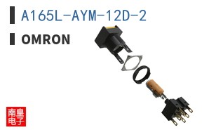 A165L-AYM-12D-2
