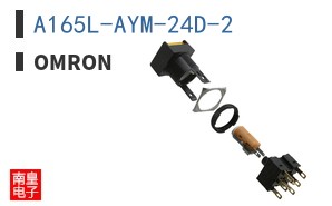 A165L-AYM-24D-2