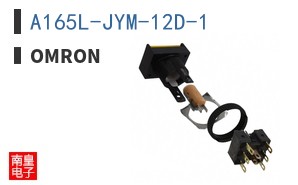 A165L-JYM-12D-1