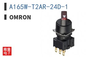 A165W-T2AR-24D-1