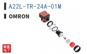 A22L-TR-24A-01M