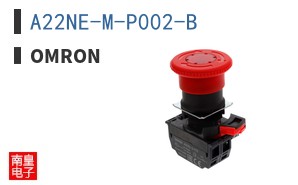 A22NE-M-P002-B