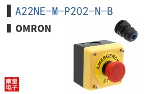 A22NE-M-P202-N-B