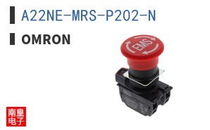 A22NE-MRS-P202-N