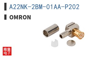 A22NK-2BM-01AA-P202