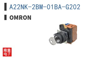 A22NK-2BM-01BA-G202