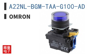 A22NL-BGM-TAA-G100-AD
