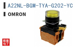 A22NL-BGM-TYA-G202-YC
