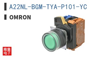 A22NL-BGM-TYA-P101-YC