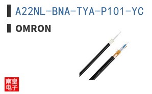 A22NL-BNA-TYA-P101-YC