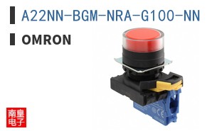 A22NN-BGM-NRA-G100-NN