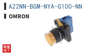 A22NN-BGM-NYA-G100-NN