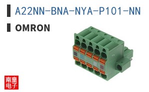 A22NN-BNA-NYA-P101-NN