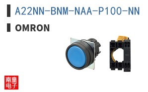 A22NN-BNM-NAA-P100-NN