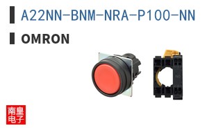 A22NN-BNM-NRA-P100-NN