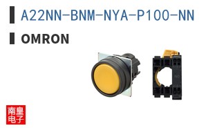 A22NN-BNM-NYA-P100-NN