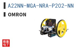 A22NN-MGA-NRA-P202-NN