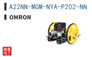 A22NN-MGM-NYA-P202-NN