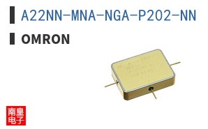 A22NN-MNA-NGA-P202-NN