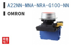 A22NN-MNA-NRA-G100-NN